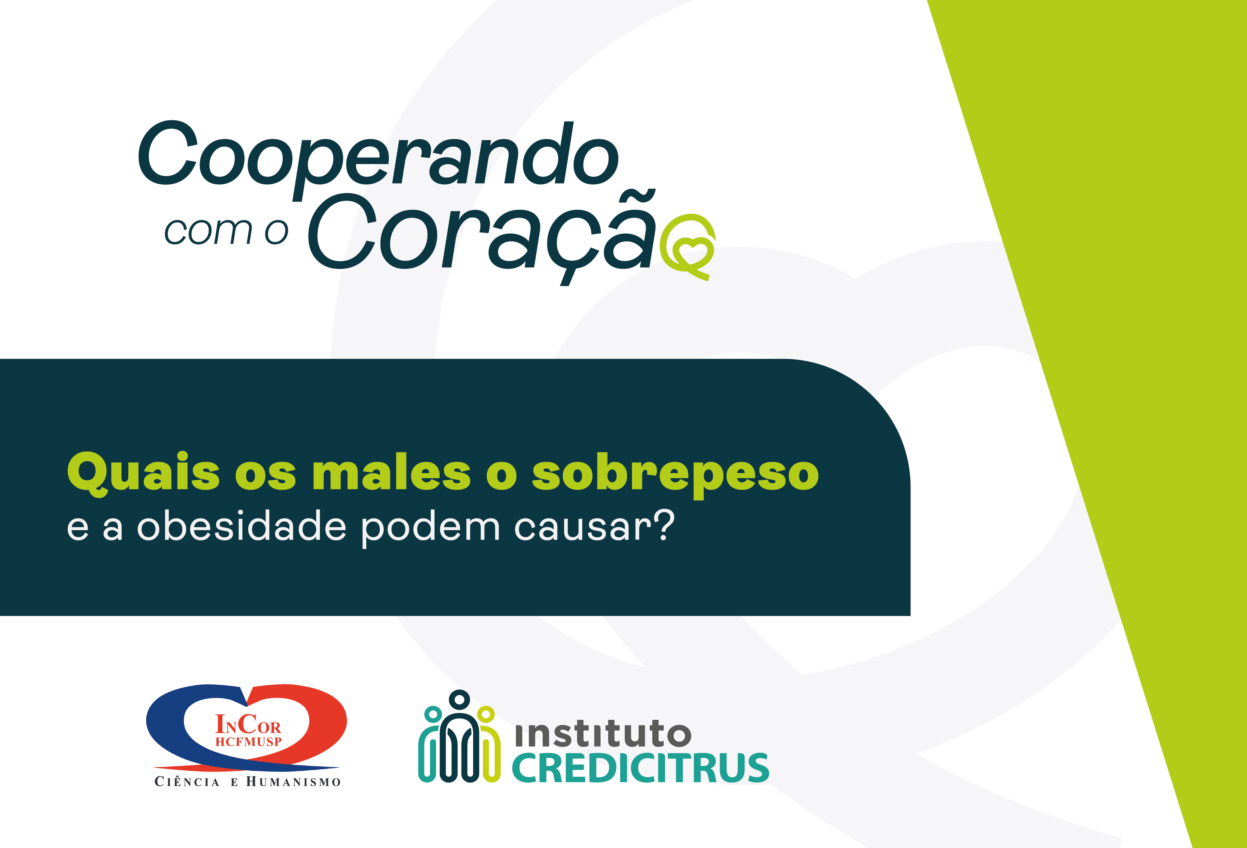 Quais os males o sobrepeso e a obesidade podem causar?