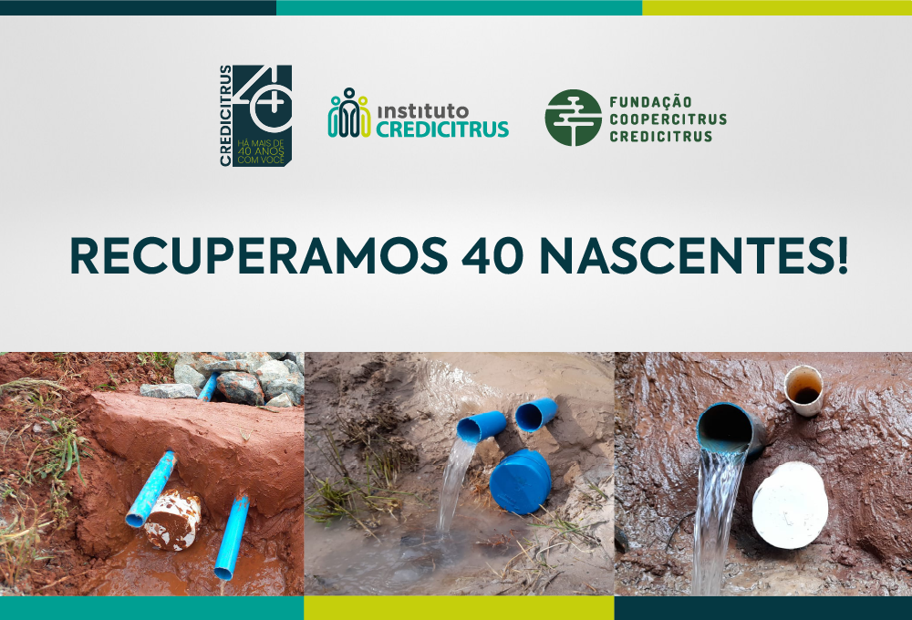 Recuperamos 40 nascentes! Veja os resultados.